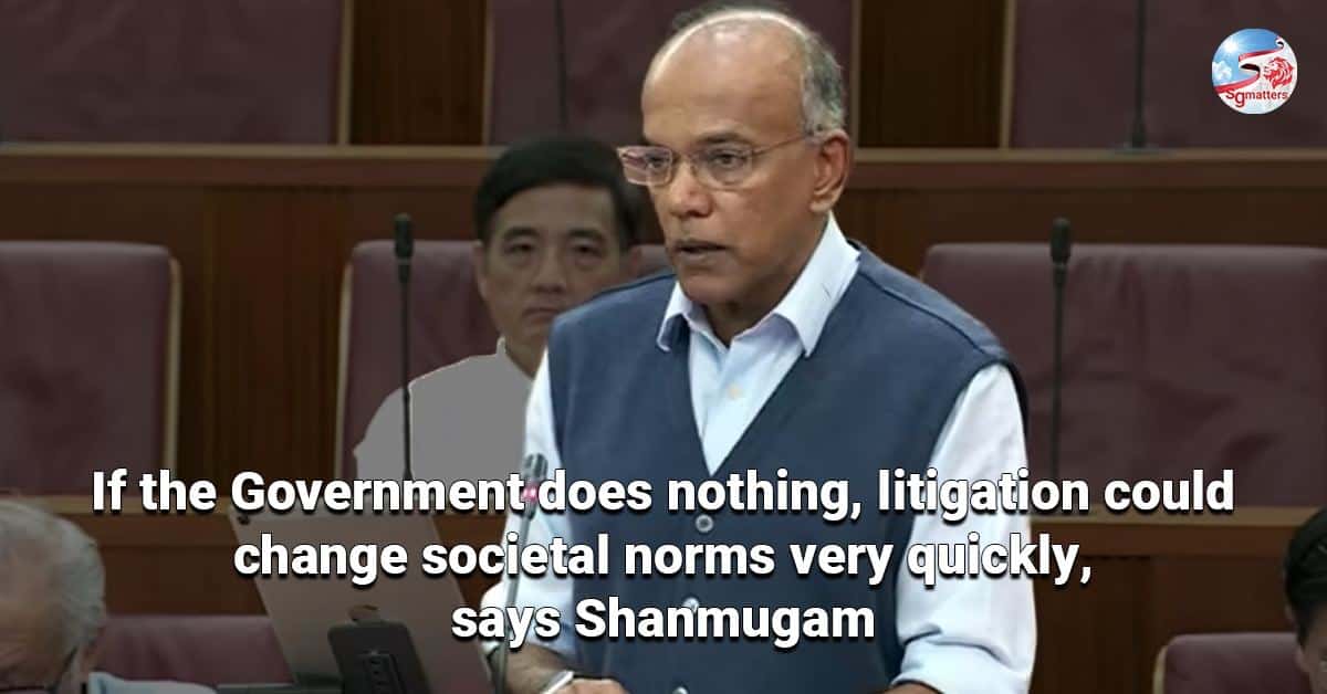 court, parliament, minister, shanmugam, reason, 377A, law, section, indian, issues, leave, Singapore, legal, k, duty, strike