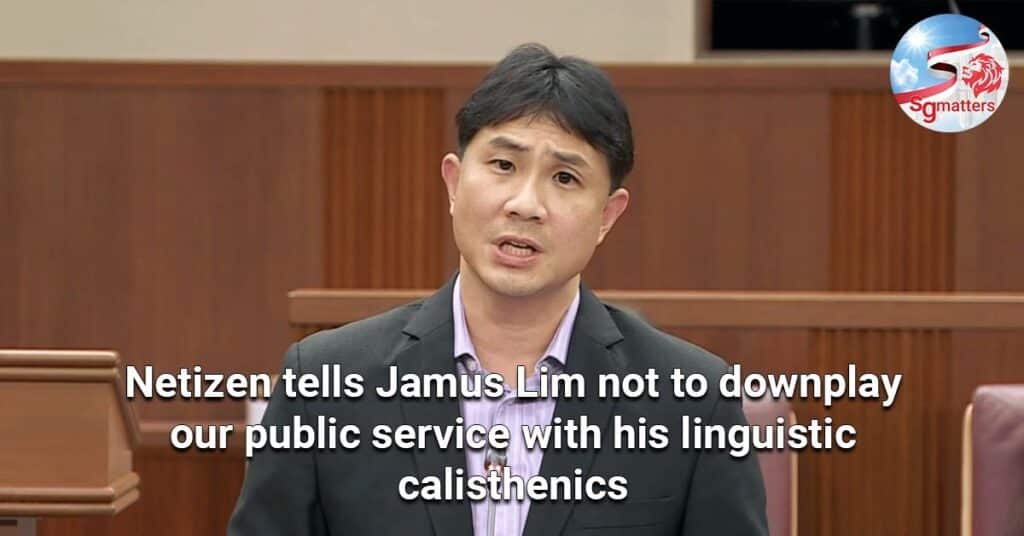 netizen tells jamus lim not to downplay our public service with his linguistic calisthenics